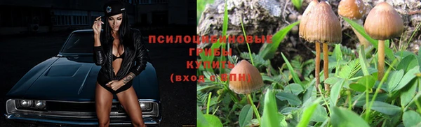 спайс Арсеньев