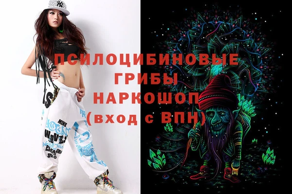 дмт Аркадак