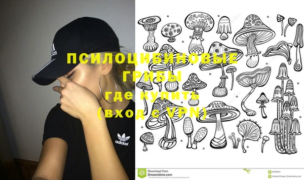 дмт Аркадак