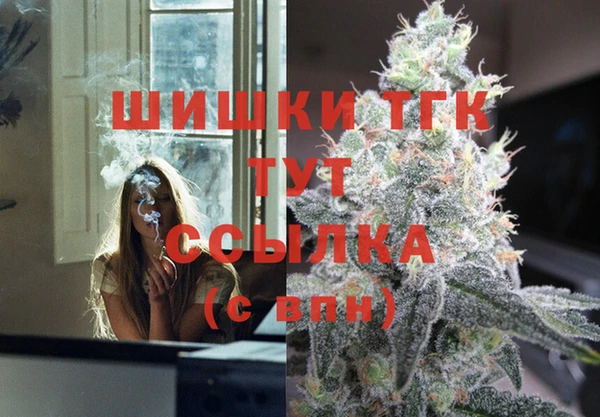 дмт Аркадак