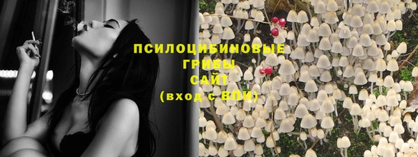 дмт Аркадак