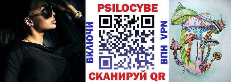 Псилоцибиновые грибы Psilocybine cubensis  Татарск 